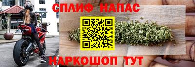 СК Абакан